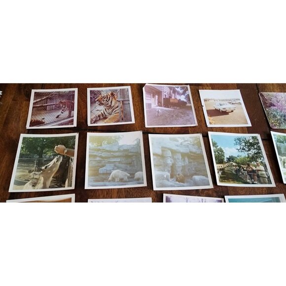 LOT  Of 35 vintage 1970's  PHOTOS Home Interiors Furniture Scenery Animals Zoo - Picture 6 of 12